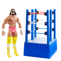 WWE WrestleMania Celebration Asst